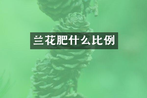 兰花肥什么比例