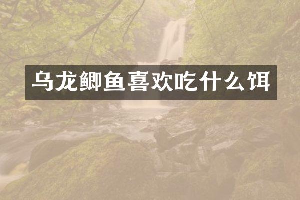 乌龙鲫鱼喜欢吃什么饵