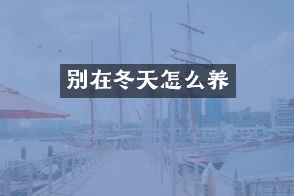 别在冬天怎么养