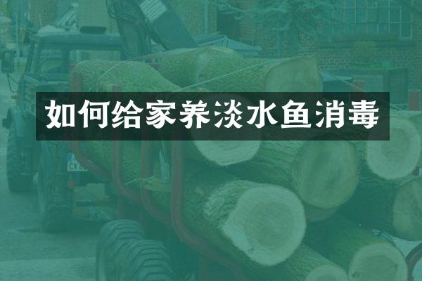如何给家养淡水鱼消毒