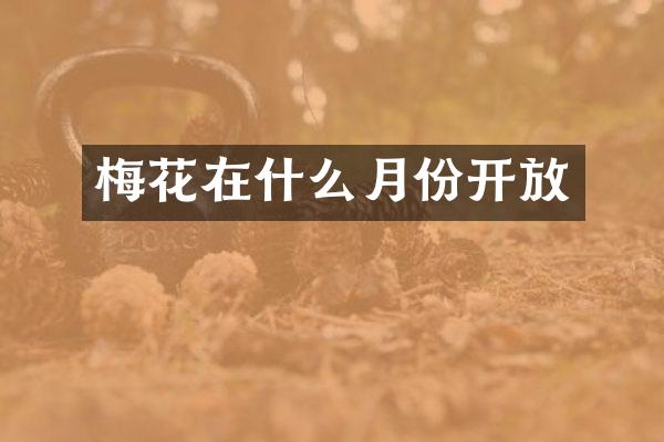 梅花在什么月份开放