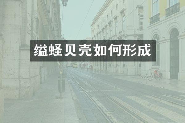 缢蛏贝壳如何形成