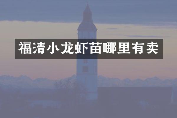 福清小龙虾苗哪里有卖