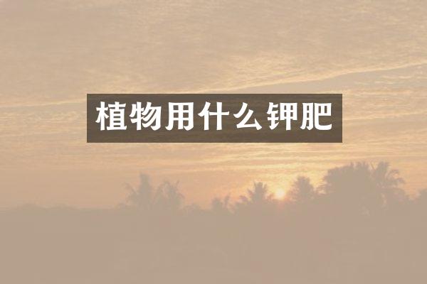 植物用什么钾肥