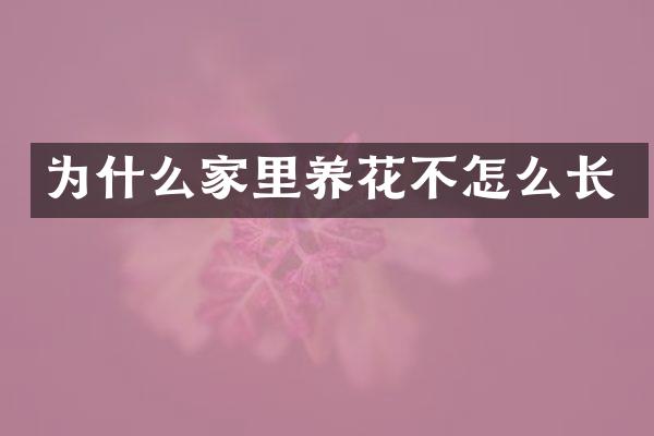 为什么家里养花不怎么长