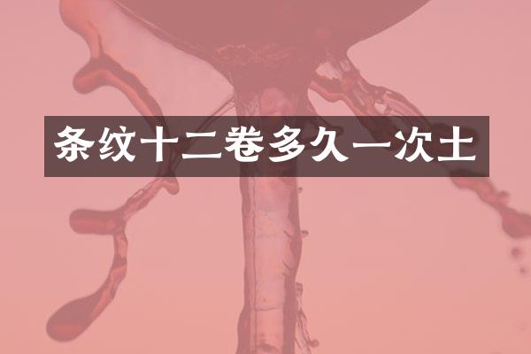 条纹十二卷多久一次土