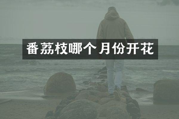 番荔枝哪个月份开花