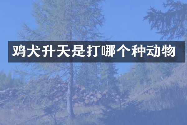 鸡犬升天是打哪个种动物