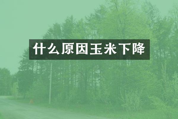 什么原因玉米下降