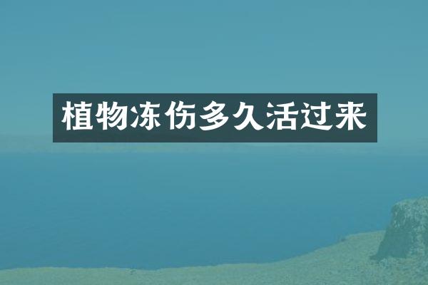 植物冻伤多久活过来