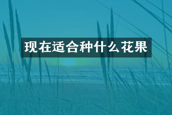 现在适合种什么花果