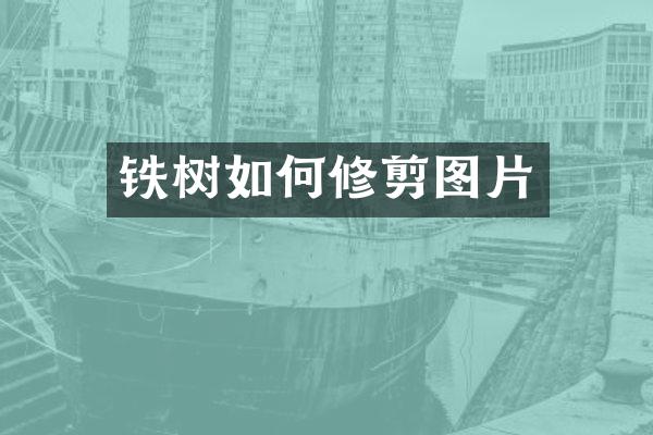 铁树如何修剪图片