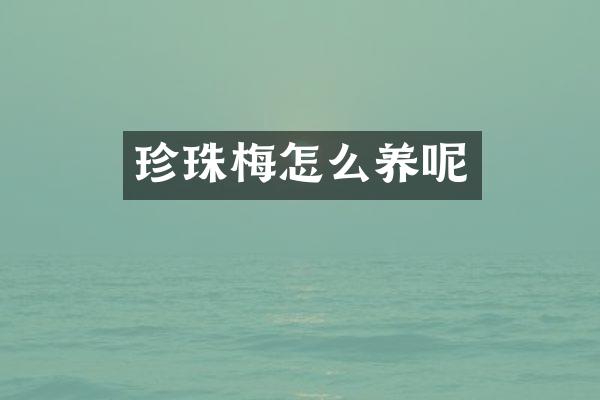 珍珠梅怎么养呢