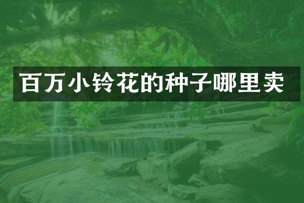 百万小铃花的种子哪里卖
