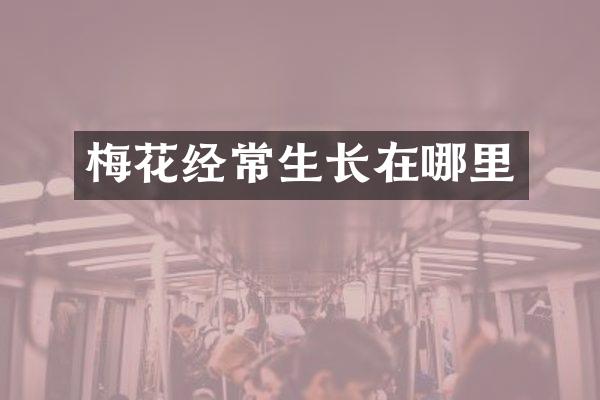 梅花经常生长在哪里