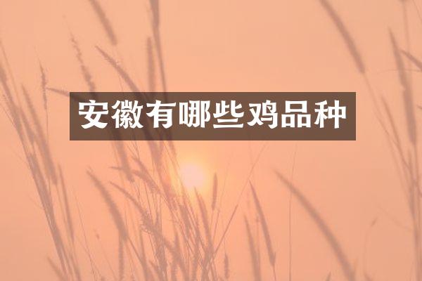 安徽有哪些鸡品种
