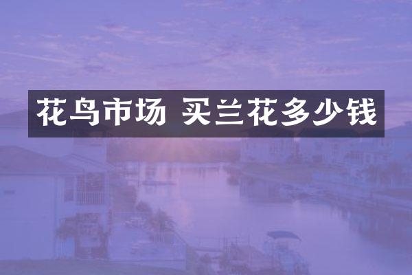 花鸟市场 买兰花多少钱