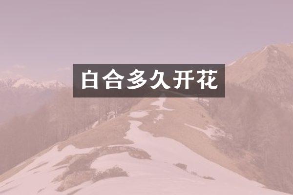白合多久开花