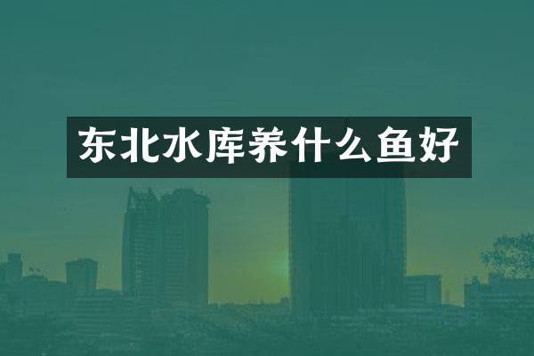 东北水库养什么鱼好