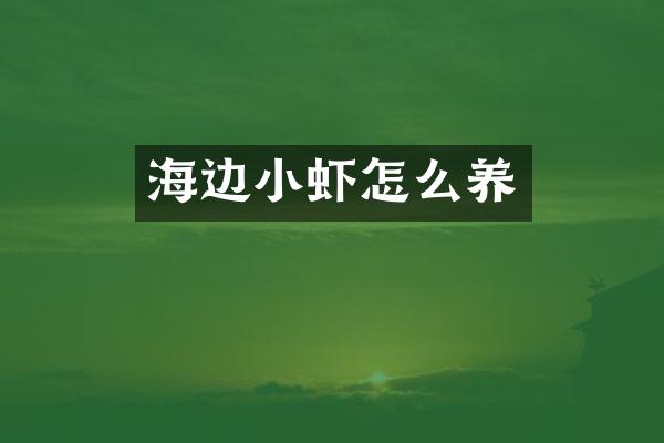 海边小虾怎么养