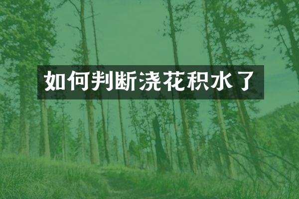 如何判断浇花积水了