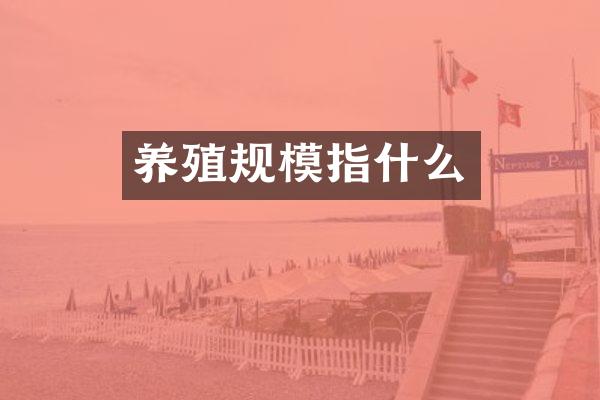 养殖规模指什么