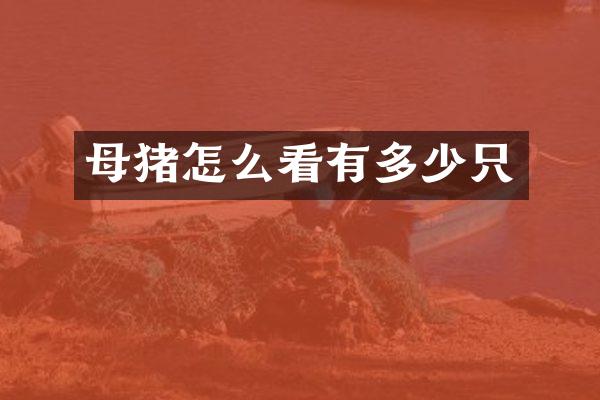 母猪怎么看有多少只