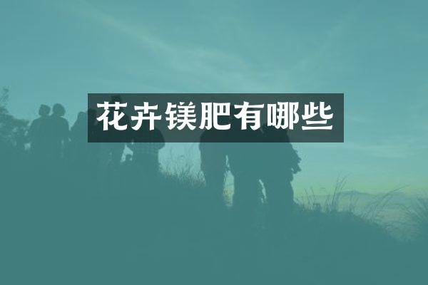 花卉镁肥有哪些