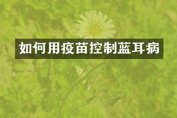 如何用疫苗控制蓝耳病