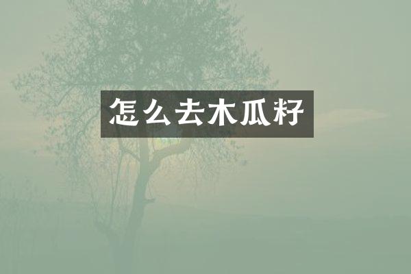 怎么去木瓜籽
