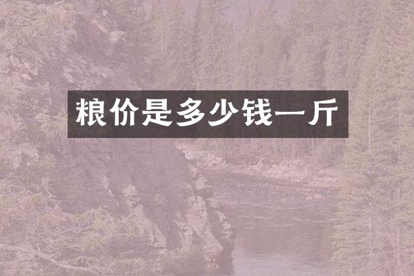 粮价是多少钱一斤