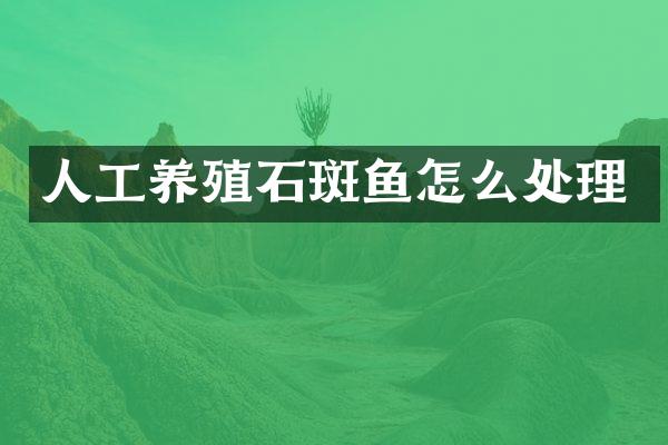 人工养殖石斑鱼怎么处理