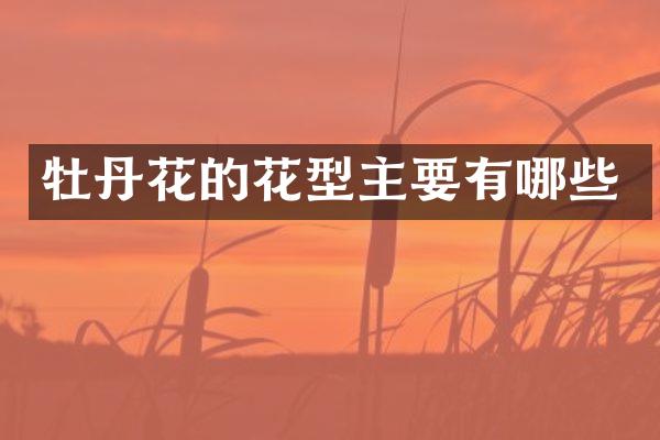 牡丹花的花型主要有哪些