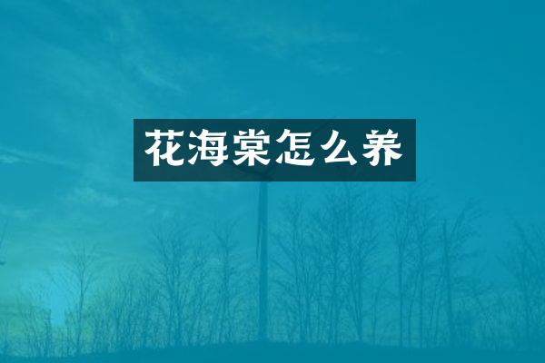 花海棠怎么养