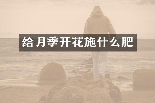 给月季开花施什么肥