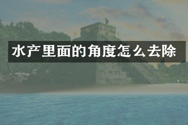 水产里面的角度怎么去除