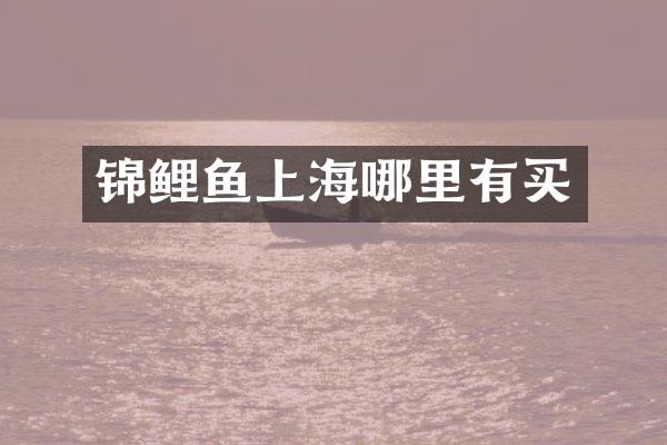 锦鲤鱼上海哪里有买