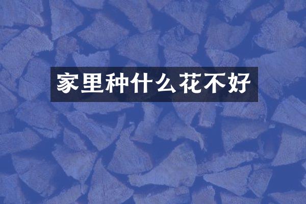 家里种什么花不好