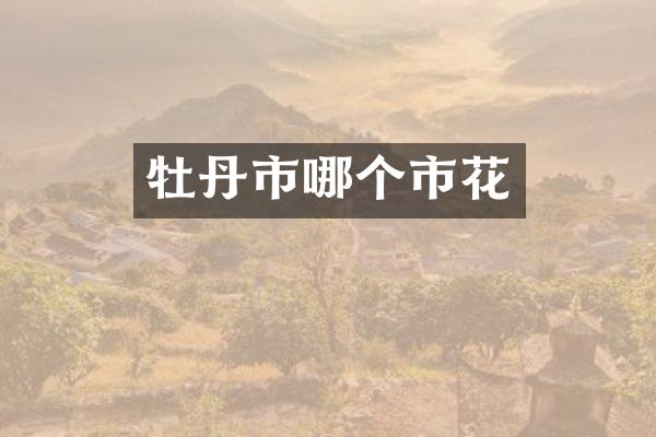 牡丹市哪个市花