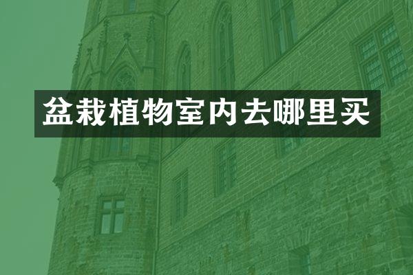 盆栽植物室内去哪里买