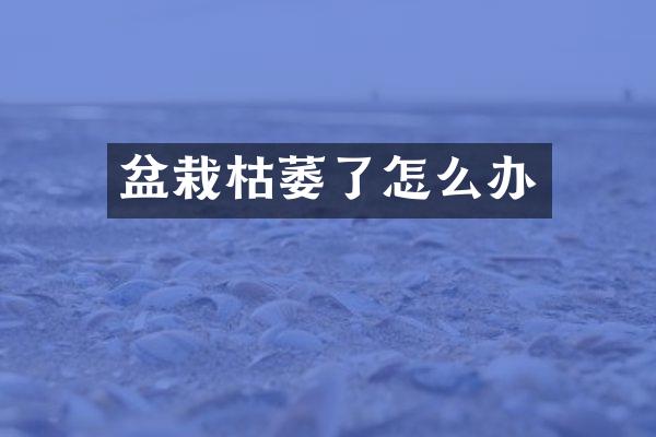 盆栽枯萎了怎么办