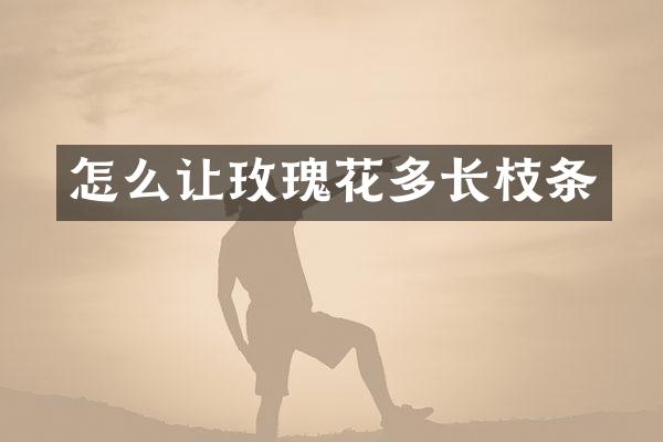 怎么让玫瑰花多长枝条