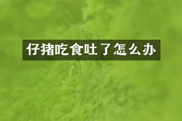 仔猪吃食吐了怎么办