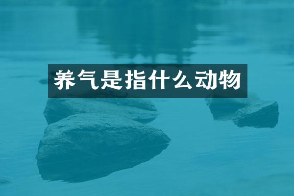 养气是指什么动物