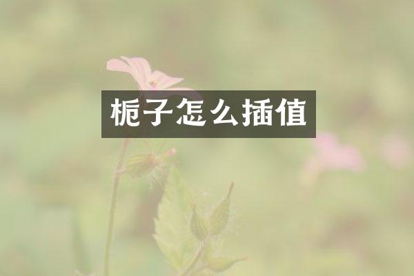 栀子怎么插值