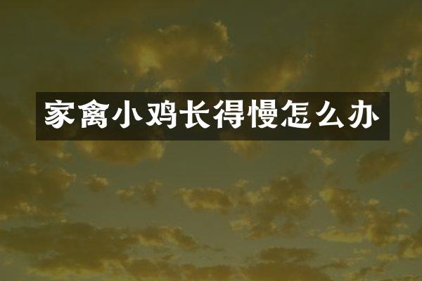 家禽小鸡长得慢怎么办