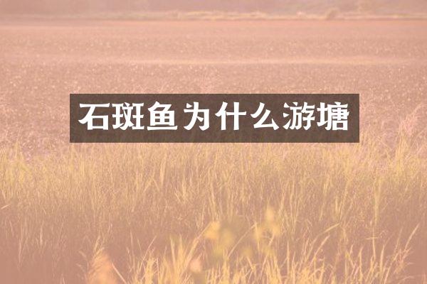 石斑鱼为什么游塘