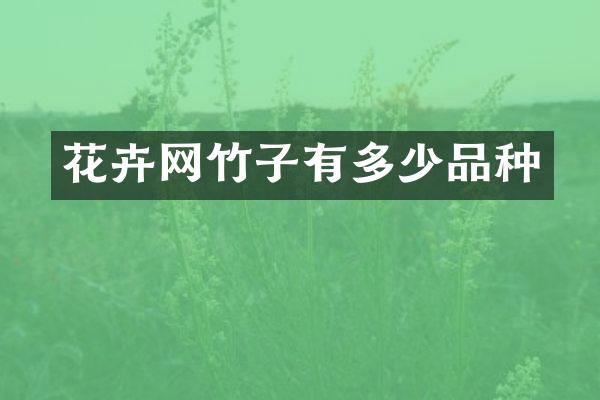 花卉网竹子有多少品种