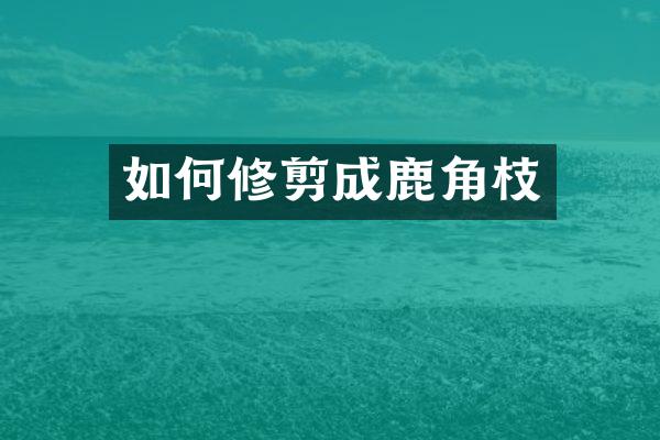 如何修剪成鹿角枝