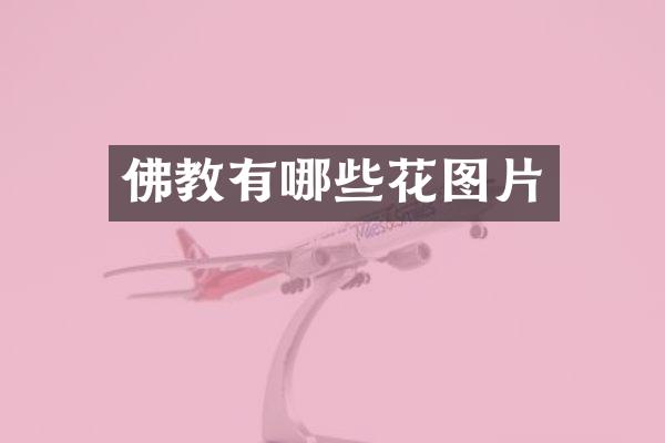 佛教有哪些花图片